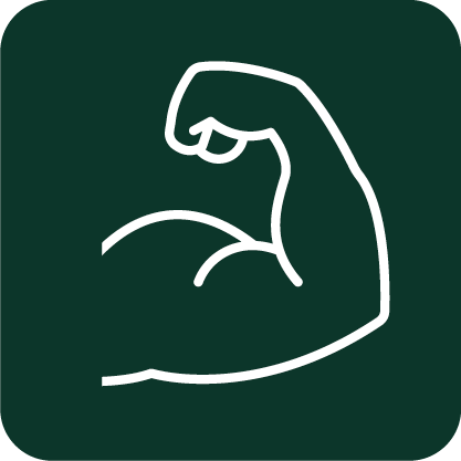 Tragwerksplanung Icon